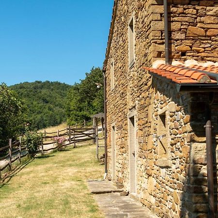 Agriturismo Con Piscina In Toscana, Tribbiano Arezzo Buitenkant foto