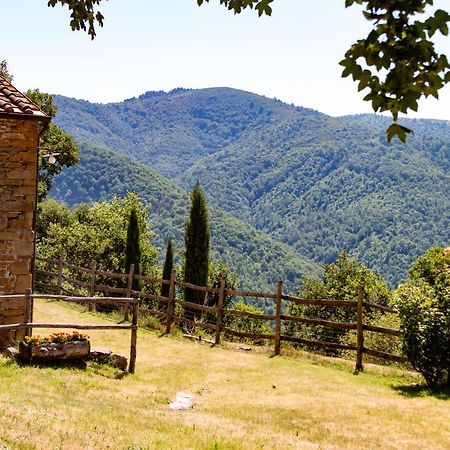 Agriturismo Con Piscina In Toscana, Tribbiano Arezzo Buitenkant foto