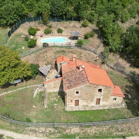 Agriturismo Con Piscina In Toscana, Tribbiano Arezzo Buitenkant foto