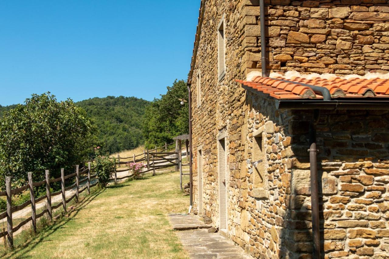 Agriturismo Con Piscina In Toscana, Tribbiano Arezzo Buitenkant foto