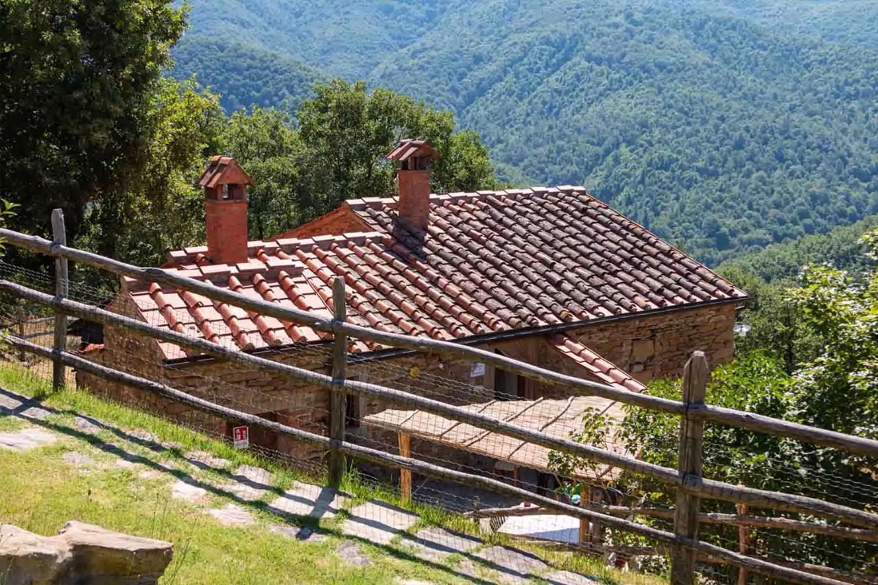 Agriturismo Con Piscina In Toscana, Tribbiano Arezzo Buitenkant foto